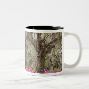 Tasse 2 Couleurs Etats-Unis, Géorgie, Savannah, Printemps de l'hist