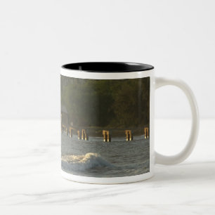 Tasse 2 Couleurs États-Unis, Hawaï, Kauai, côte sud-ouest, près de