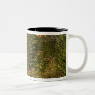 Tasse 2 Couleurs États-Unis; Maine; Acadia NP. Réflexions automna