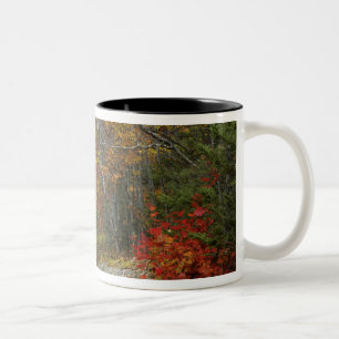 Tasse 2 Couleurs États-Unis, Maine, Camden. Route menant à travers