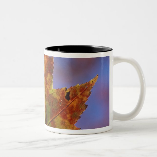 Tasse 2 Couleurs États-Unis, New Hampshire, White Mountains, Franco (Droit)