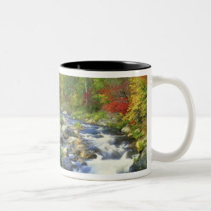 Tasse 2 Couleurs États-Unis, New York. Une cascade dans l'Adirondac