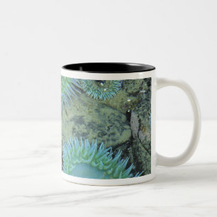 Tasse 2 Couleurs États-Unis, Oregon, Nepture SP. Mer aux tons de bi