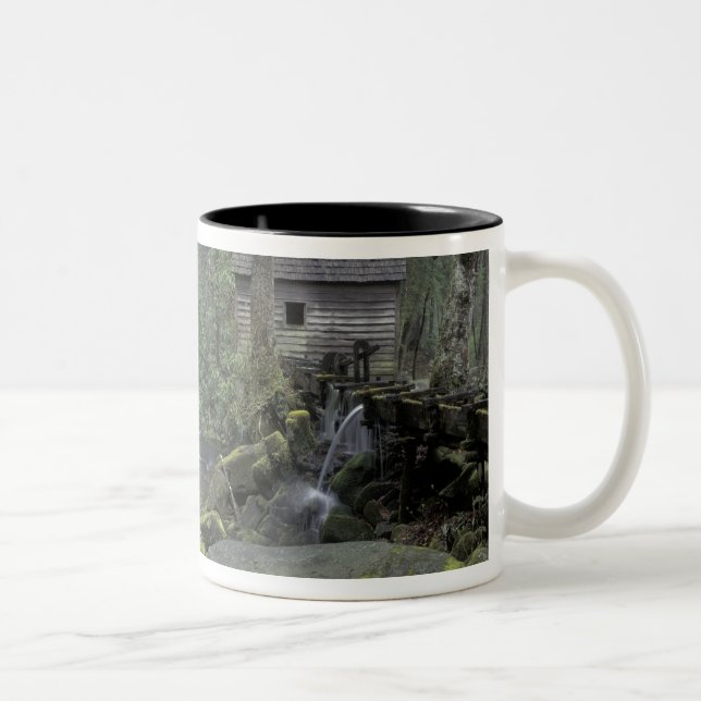 Tasse 2 Couleurs États-Unis, Tennessee, Great Smoky Mountains Natio (Droit)