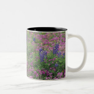 Tasse 2 Couleurs États-Unis, Texas Hill Country. Bleuets parmi les