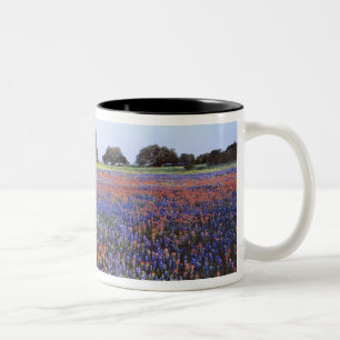 Tasse 2 Couleurs États-Unis, Texas, Llano. Bluebonnets et redbonne