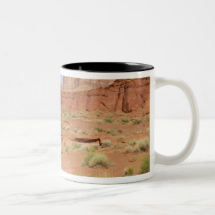 Tasse 2 Couleurs États-Unis, Utah, Canyonlands NP, Shafer Canyon