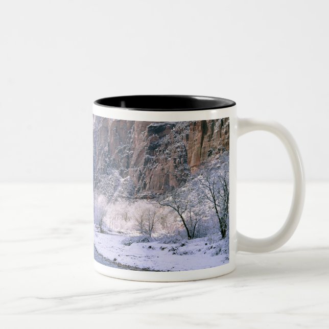 Tasse 2 Couleurs États-Unis, Utah, Zion NP. De nouvelles neiges rec (Droit)