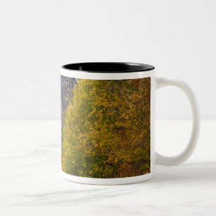 Tasse 2 Couleurs États-Unis, Virginie-Occidentale, Fayetteville. No