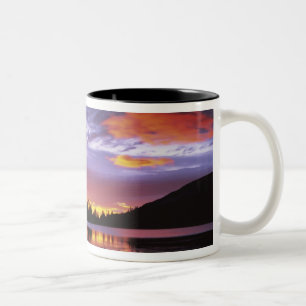 Tasse 2 Couleurs États-Unis, Washington, Mt. Rainier National Park,