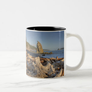Tasse 2 Couleurs États-Unis, Washington, Parc National Olympique, 