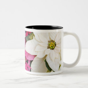 Tasse 2 Couleurs États-Unis, Washington, Woodinville, Molbak's Nur