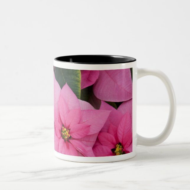 Tasse 2 Couleurs États-Unis, Washington, Woodinville, Molbak's Nurs (Droit)
