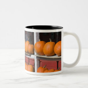 Tasse 2 Couleurs États-Unis, WISCONSIN, Washburn : rivage du lac Su