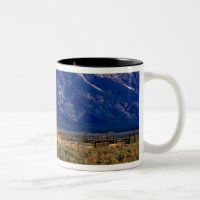 États-Unis, Wyoming, Parc national de Grand Teton,