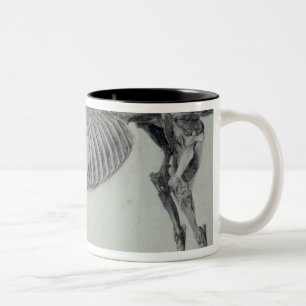 Tasse 2 Couleurs Étude finie par   de George Stubbs pour le