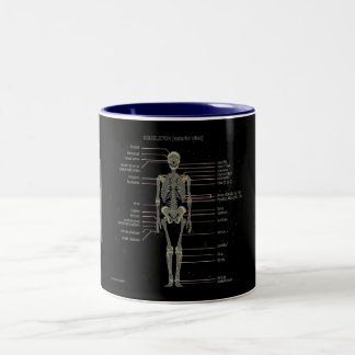 Tasse 2 Couleurs Étudiez-les des os…