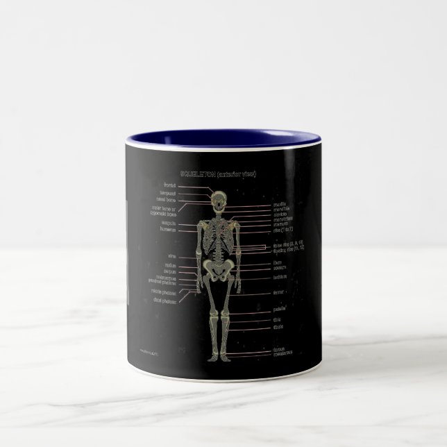 Tasse 2 Couleurs Étudiez-les des os… (Centre)