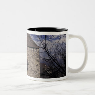 Tasse 2 Couleurs Europe, Liechtenstein, Vaduz. Château de Vaduz,