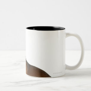 Tasse 2 Couleurs Fermez-vous d'un teckel