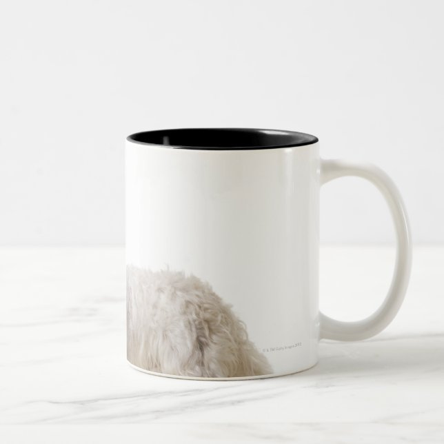 Tasse 2 Couleurs Fermez-vous d'un terrier (Droit)