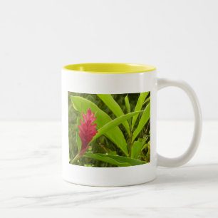 Tasse 2 Couleurs Fleur de gingembre rouge (Alpinia) tropicale