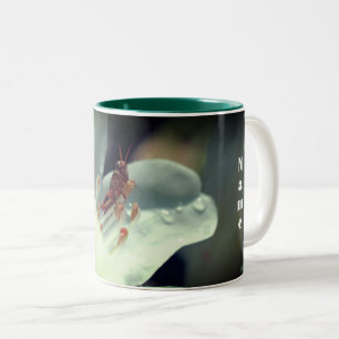 Tasse 2 Couleurs Fleur Et Grasshopper Azalea Personnalisé 
