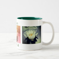 Fleur Lotus Lotus Lily Eau Personnalisé