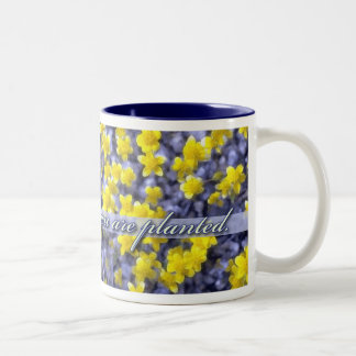 Tasse 2 Couleurs Fleur où vous êtes plantés, fleurs sauvages jaunes