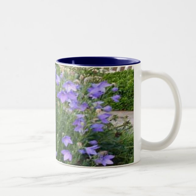Tasse 2 Couleurs Fleurs de ballon (Droit)