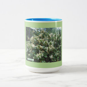 Tasse 2 Couleurs Fleurs hybrides de sucettes de miel