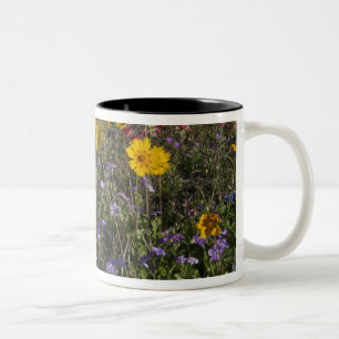 Tasse 2 Couleurs fleurs sauvages de la route au Texas, printemps