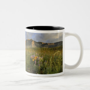 Tasse 2 Couleurs Fleurs sauvages des Prairies dans la vallée de nom