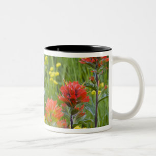 Tasse 2 Couleurs fleurs sauvages indiens de pinceaux et de biscuits