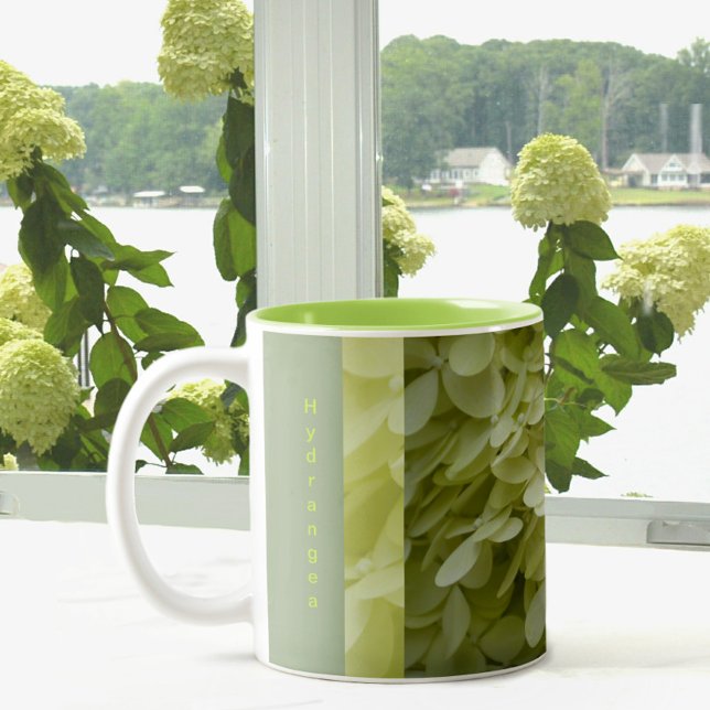 Tasse 2 Couleurs Flores d'Hydrangée Verte Celadon (Créateur téléchargé)