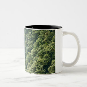 Tasse 2 Couleurs Forêt d'Himalaya dans la vallée de Mangdue, Bhou