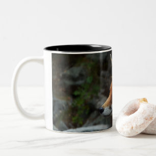 Tasse 2 Couleurs Fox