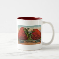 Fraises Giant Fruit Antique Fruit Amusant