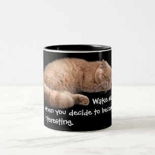 Tasse 2 Couleurs Gingembre Dormir Chat Funny Wake Me Citation