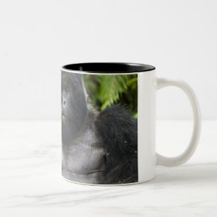 Tasse 2 Couleurs Gorille des montagnes et dos argenté