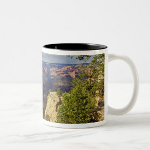 Tasse 2 Couleurs Grand Canyon depuis la rive sud au coucher du sole