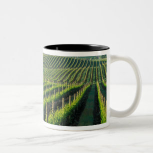 Tasse 2 Couleurs Grapevines en rangées soignées dans la Napa de C