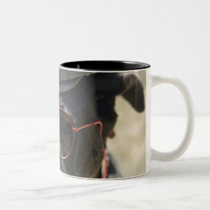 Tasse 2 Couleurs Great dane utilisant le casquette et les lunettes