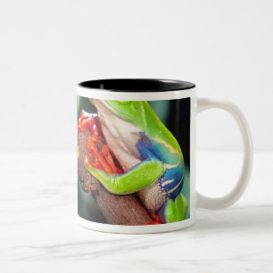 Tasse 2 Couleurs Grenouille aux yeux rouges paire, Agalychinis call