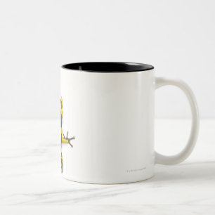 Tasse 2 Couleurs Grenouille de dard de poison de bourdon