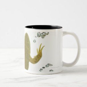 Tasse 2 Couleurs grenouille verte commune