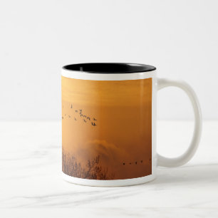 Tasse 2 Couleurs Grues du Canada silhouettées sur le soleil levant