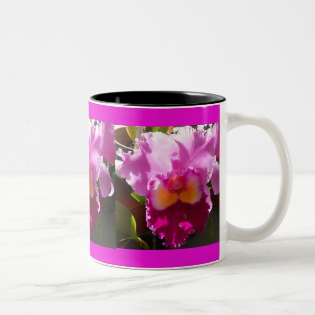 Tasse 2 Couleurs Harlinde (Droit)