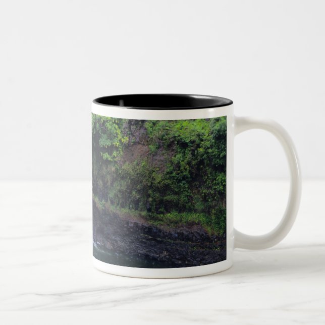 Tasse 2 Couleurs Hawaï, Big Island, Hilo, Rainbow Falls, Lush (Droit)
