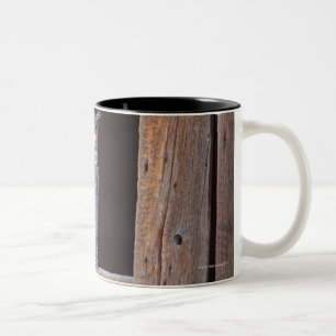 Tasse 2 Couleurs Hibou été perché dans une fenêtre